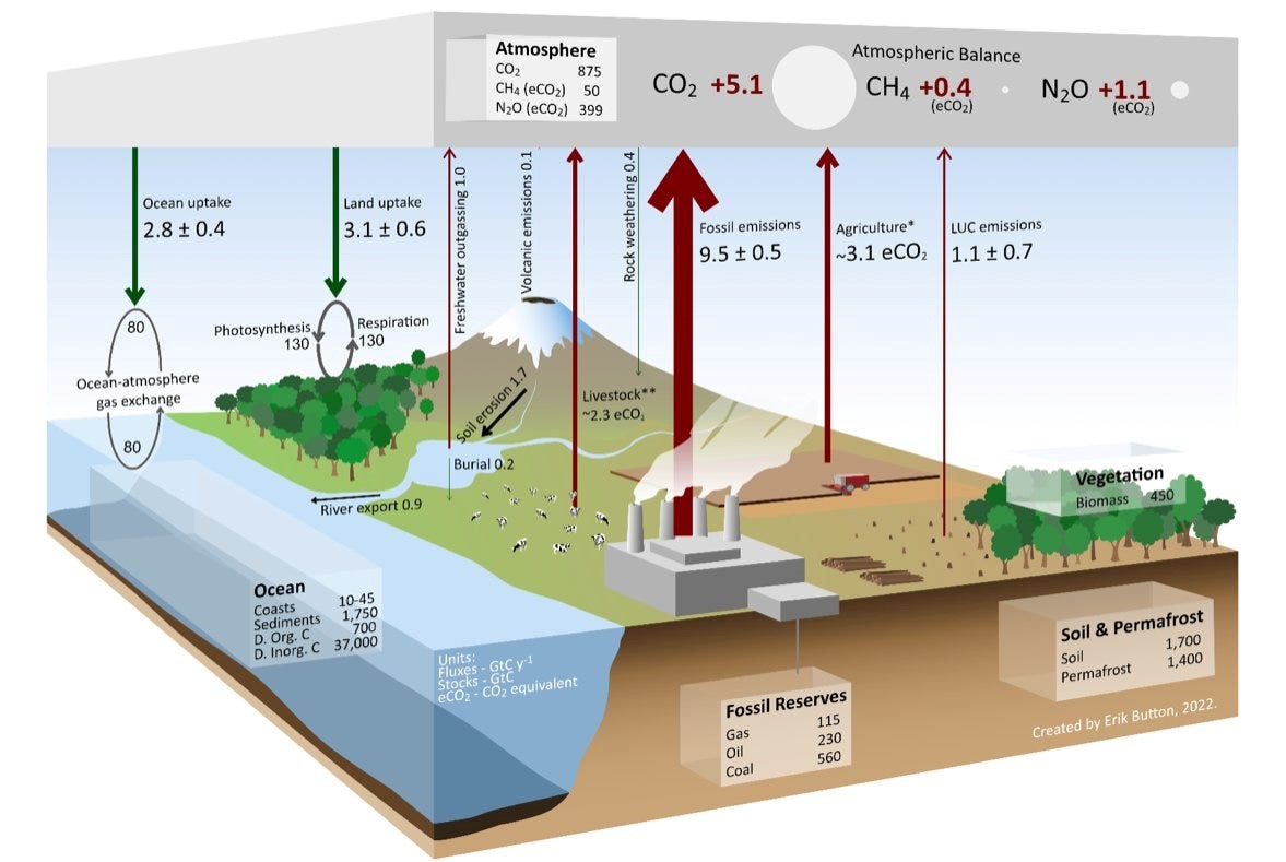 szén-dioxid körforgás
