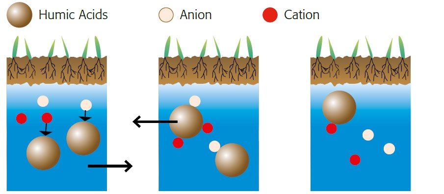 csökkentett sótartalom negatív hatása