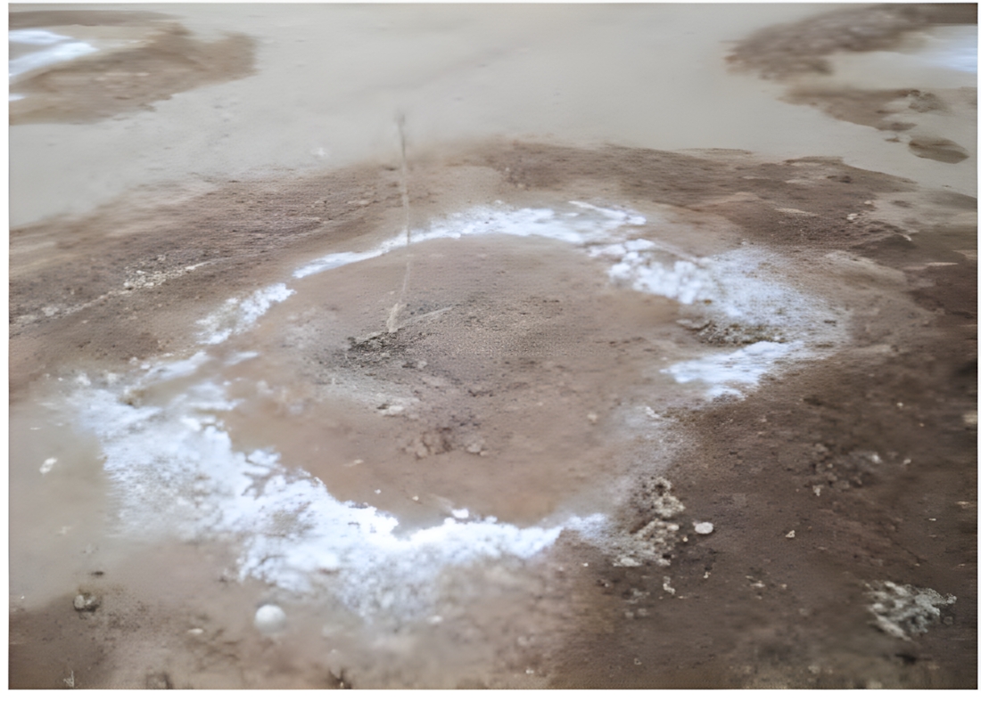 erősen szikesedett talaj